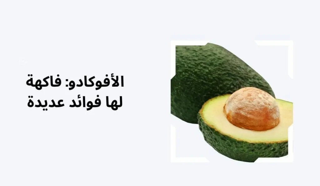 فوائد الأفوكادو: اكتشف كيف يحسن من صحتك 3 الأفوكادو: فاكهة لها فوائد عديدة