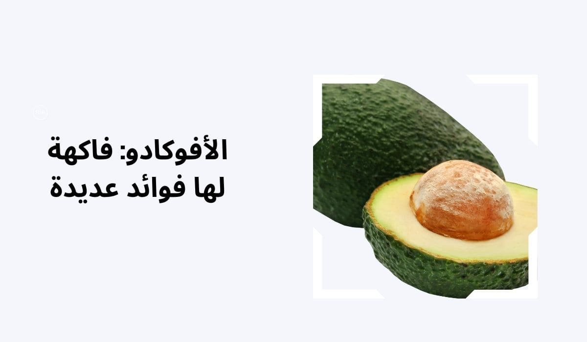 الأفوكادو: فاكهة لها فوائد عديدة