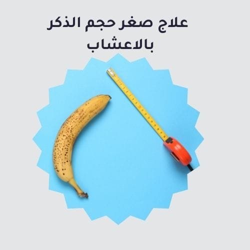 علاج صغر حجم الذكر بالاعشاب