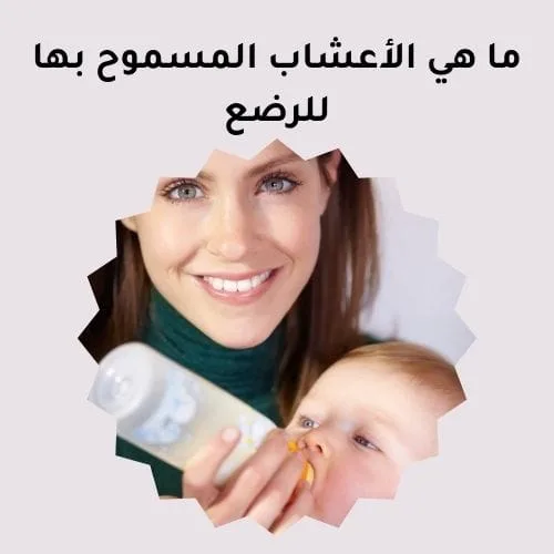 ما هي الأعشاب المسموح بها للرضع؟ 1 ما هي الأعشاب المسموح بها للرضع